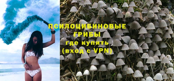 MESCALINE Бородино