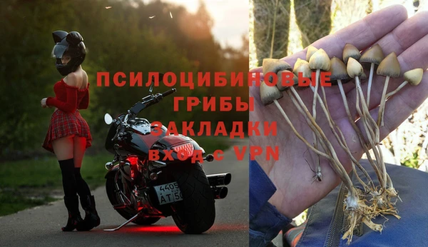 MESCALINE Бородино