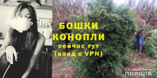 хмурый Бронницы