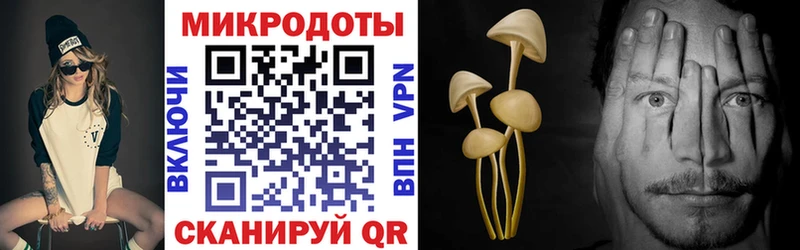 Псилоцибиновые грибы ЛСД Купить закладки Спас-Клепики