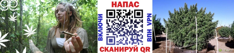 МАРИХУАНА гибрид  Купить закладки  Спас-Клепики 
